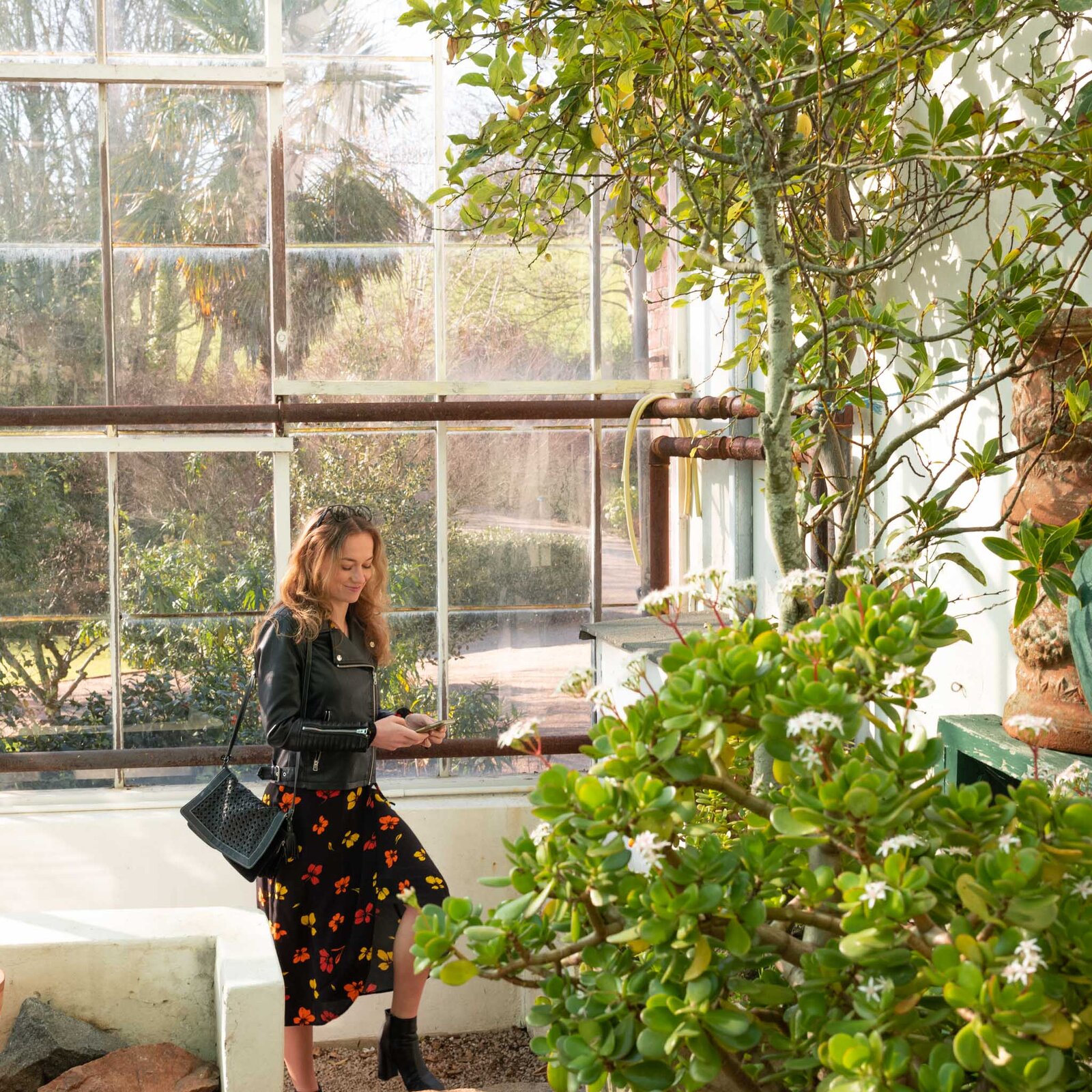 Greenhouse